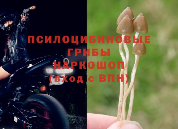стафф Балахна